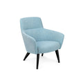 Jubel Lounge Chair - Chair Guru